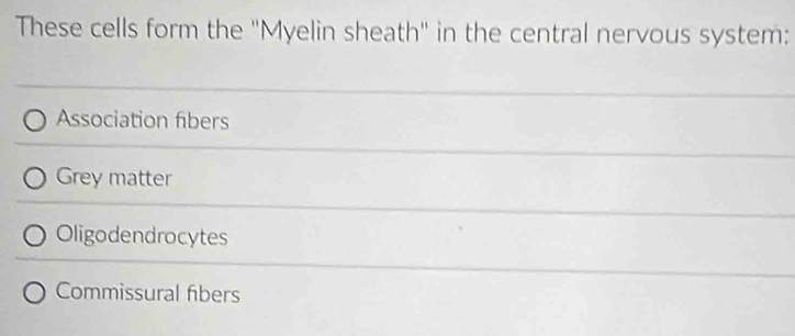 These cells form the ''Myelin sheath'' in the central nervous system:
Association fibers
Grey matter
Oligodendrocytes
Commissural fibers