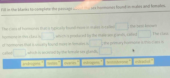 Fill in the blanks to complete the passage about the sex hormones found in males and females. 
The class of hormones that is typically found more in males is called beginarrayr □ +□ endarray beginarrayr □ the best-known 
hormone in this class is □° , which is produced by the male sex glands, called □ The class 
of hormones that is usually found more in females is beginarrayr □  □ □  □ endarray the primary hormone is this class is 
called □ , which is secreted by the female sex glands, □
androgens testes ÷ ovaries estrogens testosterone estradiol