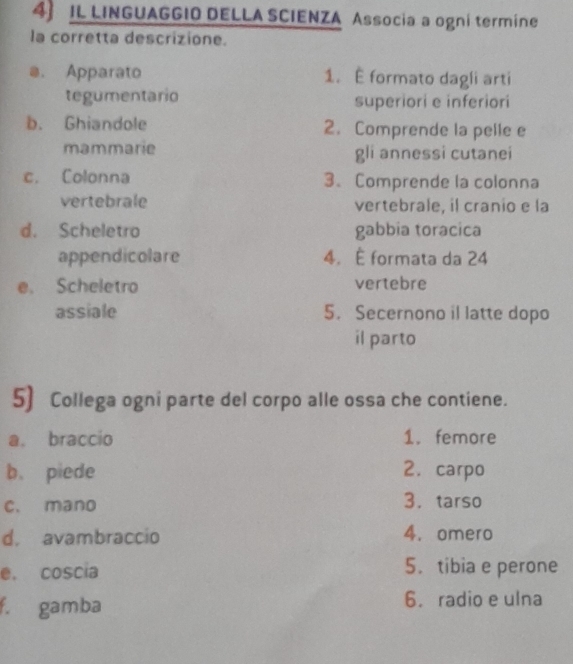 IL LINGUAGGIO DELLA SCIENZA Associa a ogni termine
la corretta descrizione.
@. Apparato 1. É formato dagli arti
tegumentario superiori e inferiori
b. Ghiandole 2. Comprende la pelle e
mammarie gli annessi cutanei
c. Colonna 3、 Comprende la colonna
vertebrale vertebrale, il cranio e la
d. Scheletro gabbia toracica
appendicolare 4. É formata da 24
e. Scheletro vertebre
assiale 5. Secernono il latte dopo
il parto
5) Collega ogni parte del corpo alle ossa che contiene.
a. braccio 1. femore
b. piede 2. carpo
c. mano 3. tarso
d. avambraccio 4. omero
e. coscia 5. tibia e perone
f. gamba 6. radio e ulna