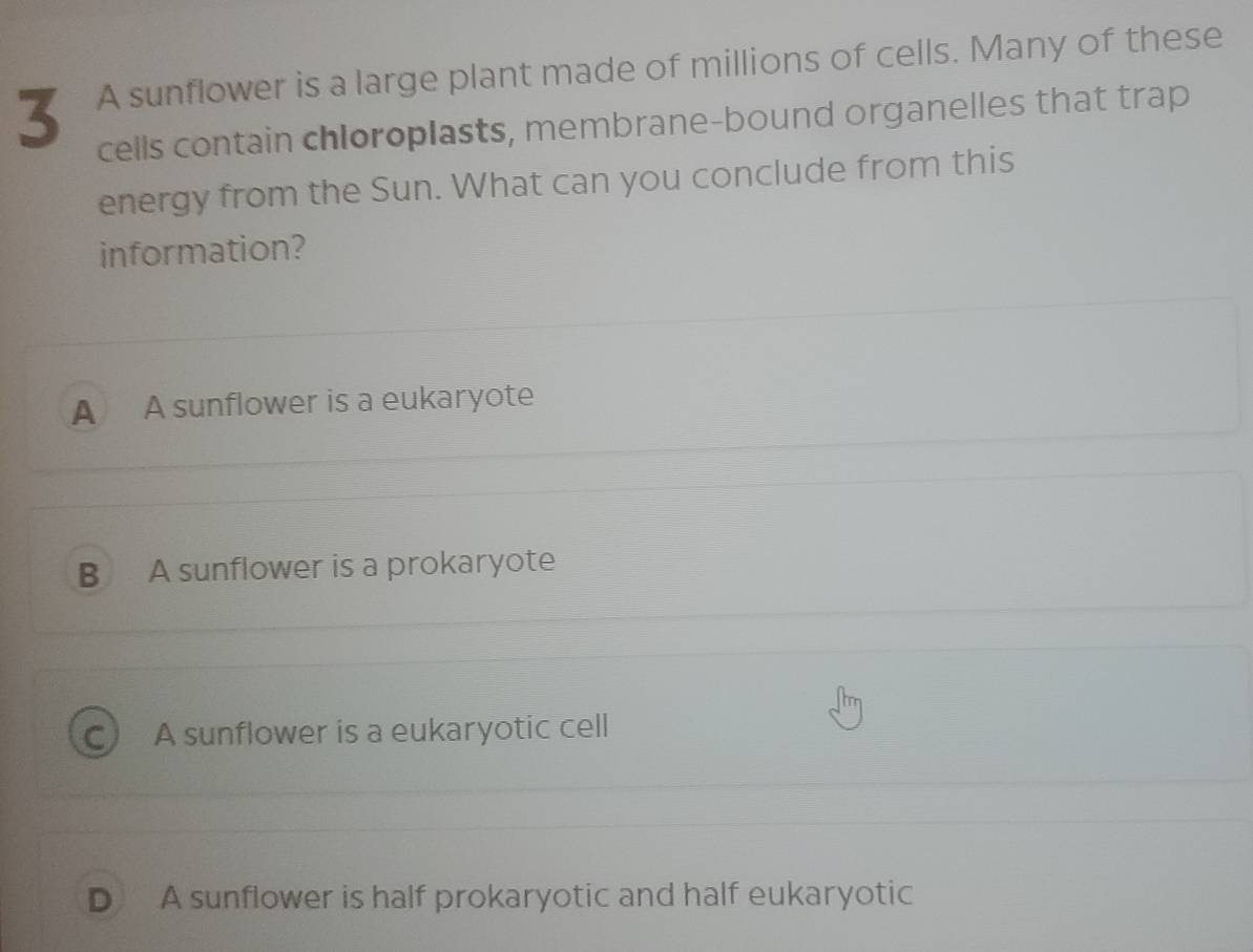 A sunflower is a large plant made of millions of cells. Many of these
cells contain chloroplasts, membrane-bound organelles that trap
energy from the Sun. What can you conclude from this
information?
A A sunflower is a eukaryote
B A sunflower is a prokaryote
a A sunflower is a eukaryotic cell
D A sunflower is half prokaryotic and half eukaryotic