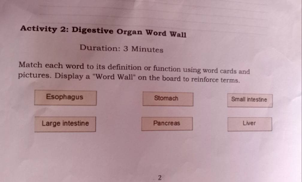 Activity 2: Digestive Organ Word Wall 
Duration: 3 Minutes
Match each word to its definition or function using word cards and 
pictures. Display a "Word Wall" on the board to reinforce terms. 
Esophagus Stomach Small intestine 
Large intestine Pancreas Liver 
2