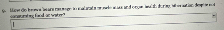 How do brown bears manage to maintain muscle mass and organ health during hibernation despite not 
consuming food or water?