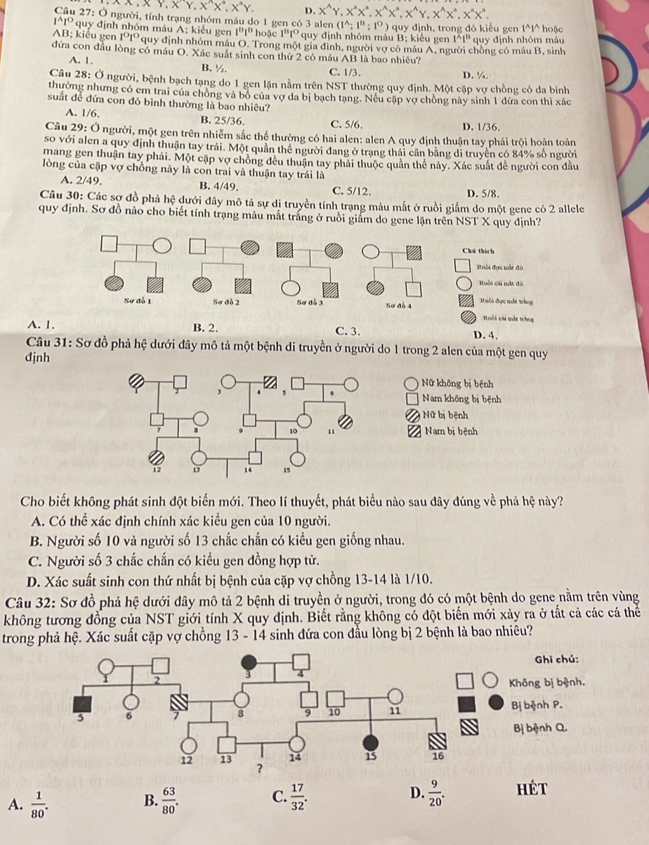 XX,XY,X''Y,X''X'',X''Y. D. X^(wedge)Y,X^nX^a,X^(wedge)X^a,X^(wedge)Y,X^(wedge)X^a,X^aX^aX^a.
Câu 27:O người, tính trạng nhóm máu do 1 gen có 3 alen (1^(wedge);1^B;1°)
I^(wedge)I^O quy định nhóm máu A; kiểu gen 1^B1^B hoặc I^BI^O quy định nhóm máu B; kiểu gen quy định, trong đó kiểu gen I^(wedge)I^(wedge) hoặc
1^(overline A)1^B quy định nhóm máu
AB; kiểu gen 1^0I° quy định nhóm máu O. Trong một gia đình, người vợ có máu A, người chồng có máu B, sinh
đứa con đầu lòng có máu O. Xác suất sinh con thứ 2 có máu AB là bao nhiêu?
A. 1. C. 1/3. D. ¼
B. 1/2.
Câu 28: Ở người, bệnh bạch tạng do 1 gen lặn nằm trên NST thường quy định. Một cặp vợ chồng có da bình
thường nhưng có em trai của chông và bố của vợ da bị bạch tạng. Nếu cặp vợ chồng này sinh 1 đứa con thì xác
suất để đứa con đó bình thường là bao nhiêu?
A. 1/6. B. 25/36. C. 5/6.
D. 1/36.
Câu 29: Ở người, một gen trên nhiễm sắc thể thường có hai alen: alen A quy định thuận tay phải trội hoàn toàn
so với alen a quy định thuận tay trái. Một quân thể người dang ở trang thái cân bằng di truyền có 84% số người
mang gen thuận tay phải. Một cặp vợ chồng đều thuận tay phải thuộc quần thể này. Xác suất đề người con đầu
lòng của cặp vợ chồng này là con trai và thuận tay trái là
A. 2/49. B. 4/49. C. 5/12.
D. 5/8.
Câu 30: Các sợ đồ phả hệ dưới đây mô tả sự dị truyền tính trạng màu mắt ở ruồi giắm do một gene có 2 allele
quy định. Sơ đồ nào cho biết tính trạng màu mắt trắng ở ruồi giảm do gene lặn trên NST X quy định?
Chú thích
Ruồi đực mắt đô
Ruồi cái mắt đô
Sơ đồ 1 Sơ đồ 2 Sơ đồ 3 Sơ đồ 4 Ruổi đực mất trắng
Ruồi cái mắt trắng
A. 1. B. 2. C. 3. D. 4.
Câu 31: Sơ đồ phả hệ dưới đây mô tả một bệnh di truyền ở người do 1 trong 2 alen của một gen quy
định
Nữ không bị bệnh
Nam không bị bệnh
Nữ bị bệnh
Nam bị bệnh
Cho biết không phát sinh đột biến mới. Theo lí thuyết, phát biểu nào sau đây đúng về phả hệ này?
A. Có thể xác định chính xác kiểu gen của 10 người.
B. Người số 10 và người số 13 chắc chấn có kiểu gen giống nhau.
C. Người số 3 chắc chấn có kiều gen đồng hợp tử.
D. Xác suất sinh con thứ nhất bị bệnh của cặp vợ chồng 13-14 là 1/10.
Câu 32: Sơ đồ phả hệ dưới đây mô tả 2 bệnh di truyền ở người, trong đó có một bệnh do gene nằm trên vùng
không tương đồng của NST giới tính X quy định. Biết rằng không có đột biến mới xảy ra ở tất cả các cá thể
trong phả hệ. Xác suất cặp vợ chồng 13 - 14 sinh đứa con đầu lòng bị 2 bệnh là bao nhiêu?
Ghi chú:
Không bị bệnh.
Bị bệnh P.
Bị bệnh Q.
A.  1/80 .  63/80 .  17/32 .  9/20 . hét
B.
C.
D.