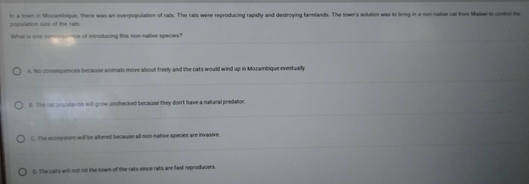 In a town in Mozambique, there was an overpopulation of rats. The rats were reproducing rapidly and destroying farmlands. The town's solution was to bring in a non-native cat from Malaw to control the
population size of the rats.
What is one consequence of introducing this non-native species?
A. No consequences because animals move about freely and the cats would wind up in Mozambique eventually.
B. The cat population will grow unchecked because they don't have a natural predator.
C. The ecosystem will be altered because all non-native species are invasive.
D. The cats will not rid the town of the rats since rats are fast reproducers.