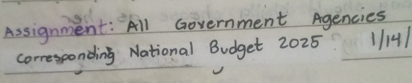 Assignment: All Government Agencies 
corresponding National Budget 2025