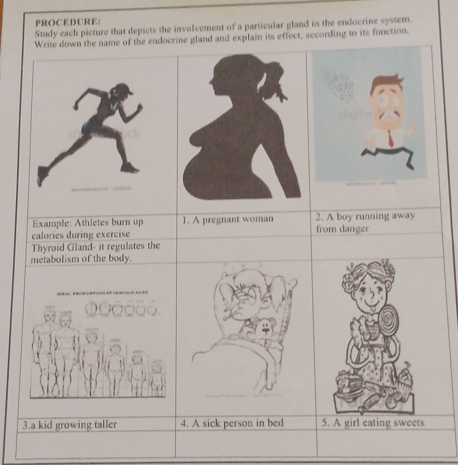 PROCEDURE: 
Study each picture that depicts the involvement of a particular gland in the endocrine system. 
ffect, according to its function.