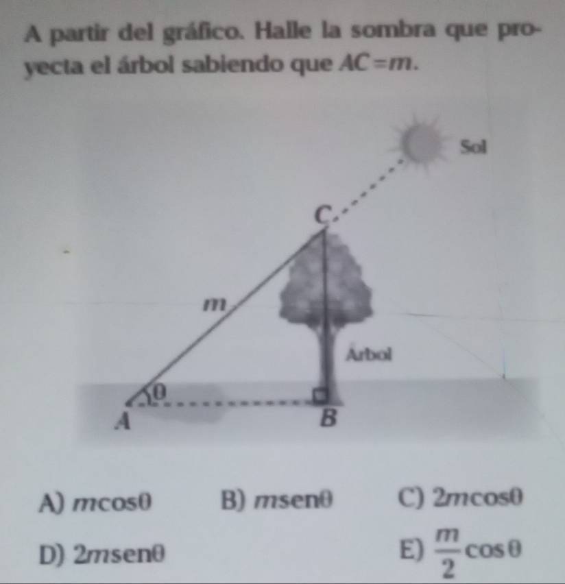 A partir del gráfico. Halle la sombra que pro-
yecta el árbol sabiendo que AC=m.
A) mcosθ B) msenθ C) 2mcosθ
D) 2msenθ E)  m/2 cos θ