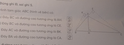 Đúng ghi Đ, sai ghi S. 
Hình tam giác ABC (hình vẽ bên) có: 
#) Đảy BC và đường cao tương ứng là AH. 
) Đáy BC và đường cao tương ứng là CE. 
Đáy AC và đường cao tương ứng là BK. 
Đáy BA và đường cao tương ứng là CA.