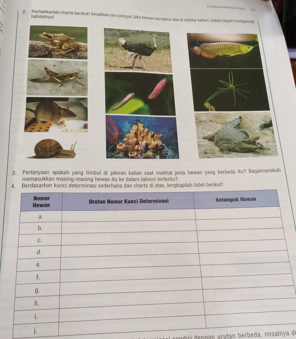 Kasifikasi Makhiul Midup 67
habitatnya! 
2. PerhatikanJah charta berikut! Amatilah ciri-cirinya! Jika hewan tersebut ada di sekitar kalian, kali 
3. Pertanyaan apakah yang timbul di pikiran kalian saat melihat jenis hewan yang berbeda itu? Bagaimanakah 
memasukkan masing-masing hewan itu ke dalam takson tertentu? 
asarkankapilah tabel berikut! 
j. 
diri dengan urutan berbeda, misalnya dì