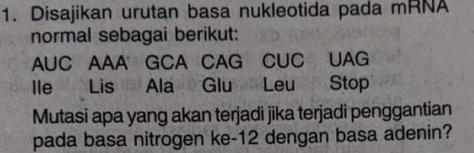 Disajikan urutan basa nukleotida pada mRNA 
normal sebagai berikut: 
AUC AAAGCA CAG CUC UAG 
lle Lis Ala Glu Leu Stop 
Mutasi apa yang akan terjadi jika terjadi penggantian 
pada basa nitrogen ke- 12 dengan basa adenin?