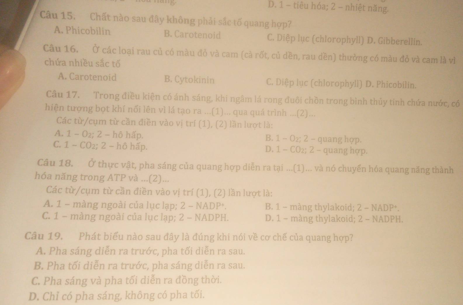 D. 1 - tiêu hóa; 2 - nhiệt năng.
Câu 15. Chất nào sau đây không phải sắc tố quang hợp?
A. Phicobilin B. Carotenoid C. Diệp lục (chlorophyll) D. Gibberellin.
Câu 16. Ở các loại rau củ có màu đỏ và cam (cà rốt, củ dền, rau dền) thường có màu đỏ và cam là vì
chứa nhiều sắc tố
A. Carotenoid B. Cytokinin C. Diệp lục (chlorophyll) D. Phicobilin.
Câu 17. Trong điều kiện có ánh sáng, khi ngâm lá rong đuôi chồn trong bình thủy tinh chứa nước, có
hiện tượng bọt khí nổi lên vì lá tạo ra ...(1)... qua quá trình ...(2)...
Các từ/cụm từ cần điền vào vị trí (1), (2) lần lượt là:
A. 1 - O₂; 2 - hô hấp. B. 1 - O₂; 2 − quang hợp.
C. 1 - CO₂; 2 - hô hấp. D. 1 - COz; 2 - quang hợp.
Câu 18. Ở thực vật, pha sáng của quang hợp diễn ra tại ...(1)... và nó chuyển hóa quang năng thành
hóa năng trong ATP và ...(2)...
Các từ/cụm từ cần điền vào vị trí (1), (2) lần lượt là:
A. 1 - màng ngoài của lục lạp; 2 − NADP+. B. 1 - màng thylakoid; 2 - NADP+.
C. 1 - màng ngoài của lục lạp; 2 - NADPH. D. 1 - màng thylakoid; 2 - NADPH.
Câu 19. Phát biểu nào sau đây là đúng khi nói về cơ chế của quang hợp?
A. Pha sáng diễn ra trước, pha tối diễn ra sau.
B. Pha tối diễn ra trước, pha sáng diễn ra sau.
C. Pha sáng và pha tối diễn ra đồng thời.
D. Chỉ có pha sáng, không có pha tối.