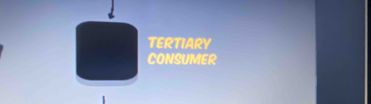 TERTIARY 
CONSUMER