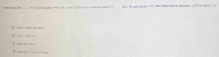 Posteriorly, the_ of a rib articulates with the body of a thoracic vertebra and the _of a rib articulates with the transverse process of the vertebra.
head; costal cartilage
head; tubercle
tubercle; head
tubercle; costal cartilage