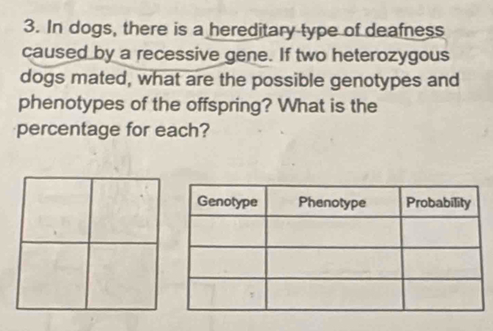 In dogs, there is a hereditary type of deafness 
caused by a recessive gene. If two heterozygous 
dogs mated, what are the possible genotypes and 
phenotypes of the offspring? What is the 
percentage for each?