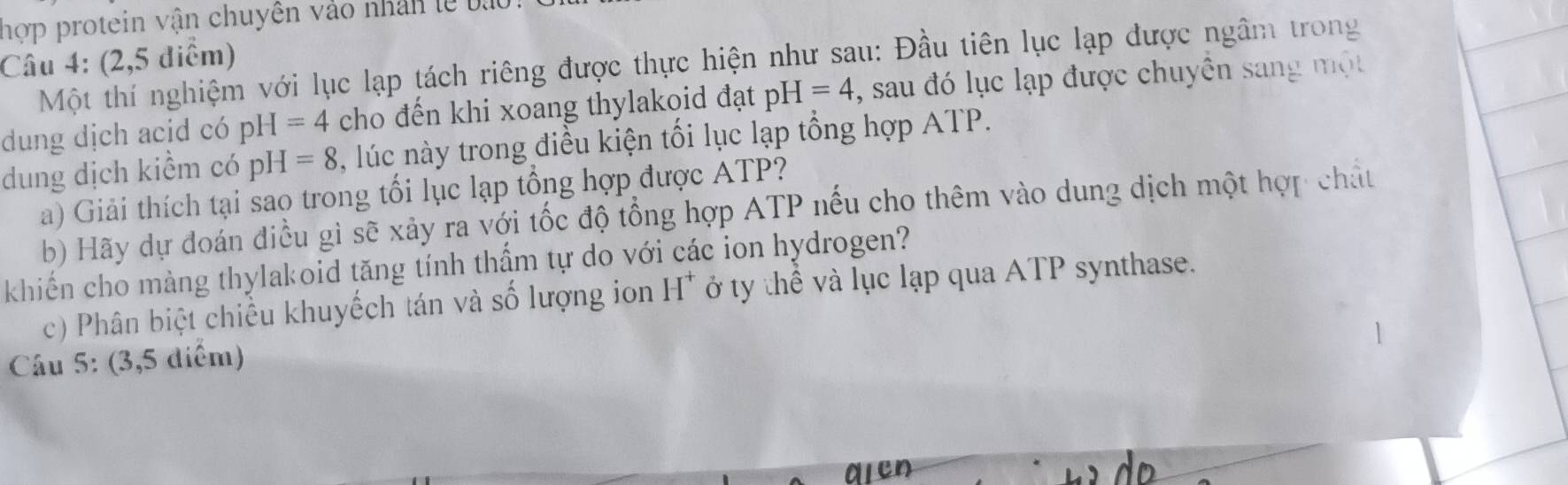 hợp protein vận chuyên vào nhân l 
Câu 4: (2,5 điểm) 
Một thí nghiệm với lục lạp tách riêng được thực hiện như sau: Đầu tiên lục lạp được ngâm trong 
dung dịch acid có pH=4 cho đến khi xoang thylakoid đạt pH=4 -, sau đó lục lạp được chuyên sang một 
dung dịch kiểm có pH=8 , lúc này trong điều kiện tối lục lạp tổng hợp ATP. 
a) Giải thích tại sao trong tối lục lạp tổng hợp được ATP? 
b) Hãy dự đoán điều gì sẽ xảy ra với tốc độ tổng hợp ATP nếu cho thêm vào dung dịch một hợp chất 
khiến cho màng thylakoid tăng tính thấm tự do với các ion hydrogen? 
c) Phân biệt chiều khuyếch tán và số lượng ion H^+ ở ty thể và lục lạp qua ATP synthase. 
Câu 5: (3,5 diểm)