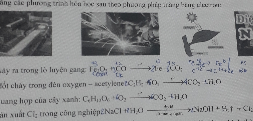 ăng các phương trình hóa học sau theo phương pháp thăng bằng electron: 
Die 
wa 
kảy ra trong lò luyện gang: Fe₃O₃ +C f^(·) +fCO_2
đốt cháy trong đèn oxygen - acetylene 2C_2H_2+5O_2xrightarrow 1°4CO_2+LH_2O
quang hợp của cây xanh: C_6H_12O_6+6O_2xrightarrow 1°6CO_2+6H_2O
ản xuất Cl_2 trong công nghiệp 2NaCl+2H_2Oxrightarrow dpddc6mimangan2NaOH+H_2uparrow +Cl_2