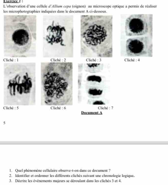 L'observation d'une cellule d'Allium cepa (oignon) au microscope optique a permis de réaliser 
le 
Cché : 4 
C 
5 
1. Quel phénomène cellulaire observe-t-on dans ce document ? 
2. Identifier et ordonner les différents clichés suivant une chronologie logique. 
3. Décrire les événements majeurs se déroulant dans les clichés 3 et 4.