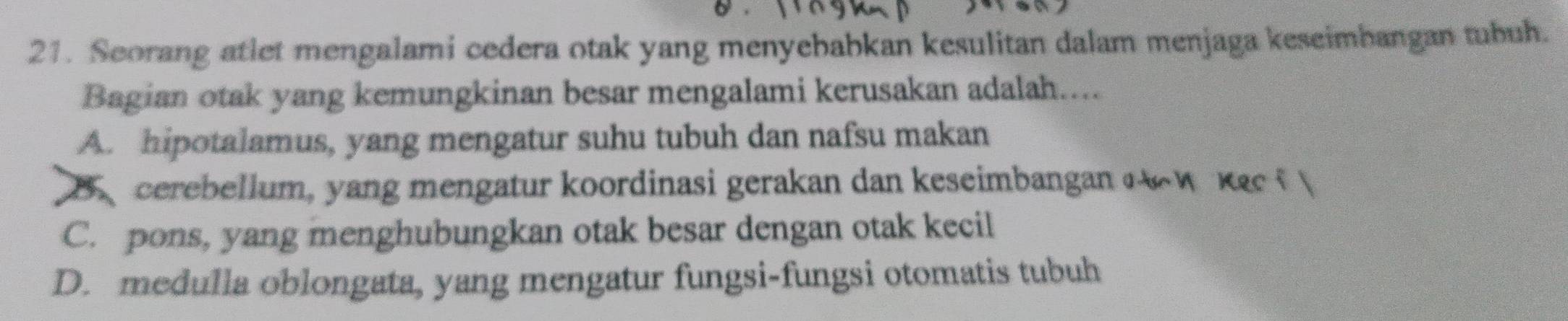 Seorang atlet mengalami cedera otak yang menyebabkan kesulitan dalam menjaga keseimbangan tubuh.
Bagian otak yang kemungkinan besar mengalami kerusakan adalah....
A. hipotalamus, yang mengatur suhu tubuh dan nafsu makan
B cerebellum, yang mengatur koordinasi gerakan dan keseimbangan e w k gc
C. pons, yang menghubungkan otak besar dengan otak kecil
D. medulla oblongata, yang mengatur fungsi-fungsi otomatis tubuh