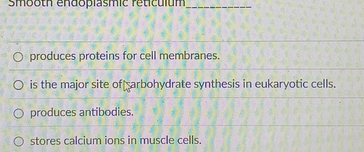 Smooth endoplasmic reticulum_
produces proteins for cell membranes.
is the major site of carbohydrate synthesis in eukaryotic cells.
produces antibodies.
stores calcium ions in muscle cells.