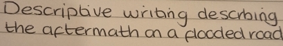 Descriplive writing descrbing 
the aftermath on a glooded road