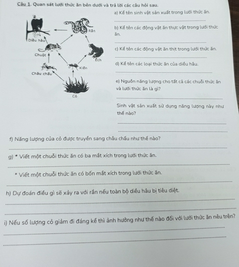 Quan sát lưới thức ăn bên dưới và trả lời các câu hỏi sau. 
) Kể tên sinh vật sản xuất trong lưới thức ăn 
_ 
b) Kể tên các động vật ăn thực vật trong lưới thức 
ǎn. 
_ 
c) Kể tên các động vật ăn thịt trong lưới thức ăn. 
_ 
_ 
d) Kể tên các loại thức ăn của diều hậu. 
e) Nguồn năng lượng cho tất cả các chuỗi thức ăn 
và lưới thức ăn là gì? 
_ 
Sinh vật sản xuất sử dụng năng lượng này như 
thế nào? 
_ 
_ 
f) Năng lượng của cỏ được truyền sang châu chấu như thế nào? 
_ 
g) * Viết một chuỗi thức ăn có ba mắt xích trong lưới thức ăn. 
_ 
_ 
Viết một chuỗi thức ăn có bốn mắt xích trong lưới thức ăn. 
_ 
h) Dự đoán điều gì sẽ xảy ra với rần nếu toàn bộ diều hầu bị tiêu diệt. 
_ 
_ 
i) Nếu số lượng cỏ giảm đi đáng kể thì ảnh hưởng như thế nào đối với lưới thức ăn nêu trên? 
_