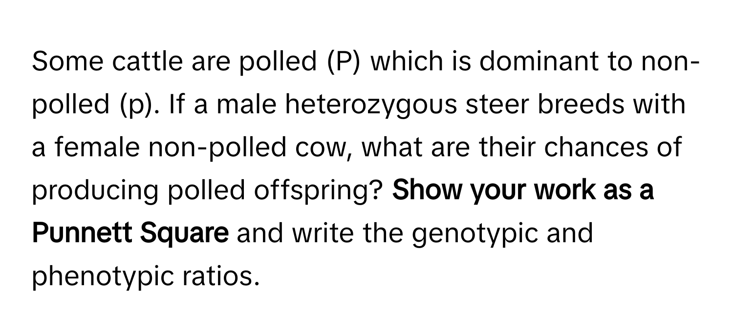 Some cattle are polled (P) which is dominant to non-polled (p). If a male heterozygous steer breeds with a female non-polled cow, what are their chances of producing polled offspring? **Show your work as a Punnett Square** and write the genotypic and phenotypic ratios.