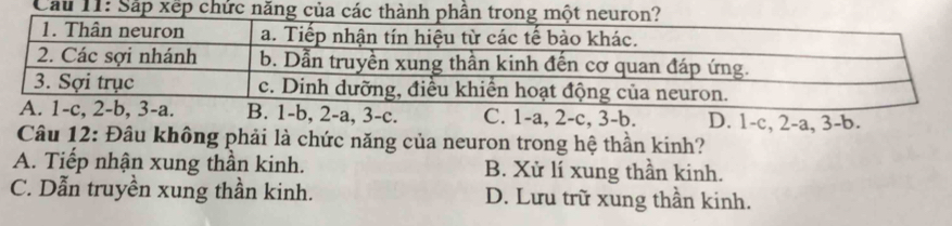 b, 2-a, 3 -c. C. 1-a, 2-c, 3 -b. D. 1-c, 2-a, 3 - b.
Câu 12: Đâu không phải là chức năng của neuron trong hệ thần kinh?
A. Tiếp nhận xung thần kinh. B. Xử lí xung thần kinh.
C. Dẫn truyền xung thần kinh. D. Lưu trữ xung thần kinh.