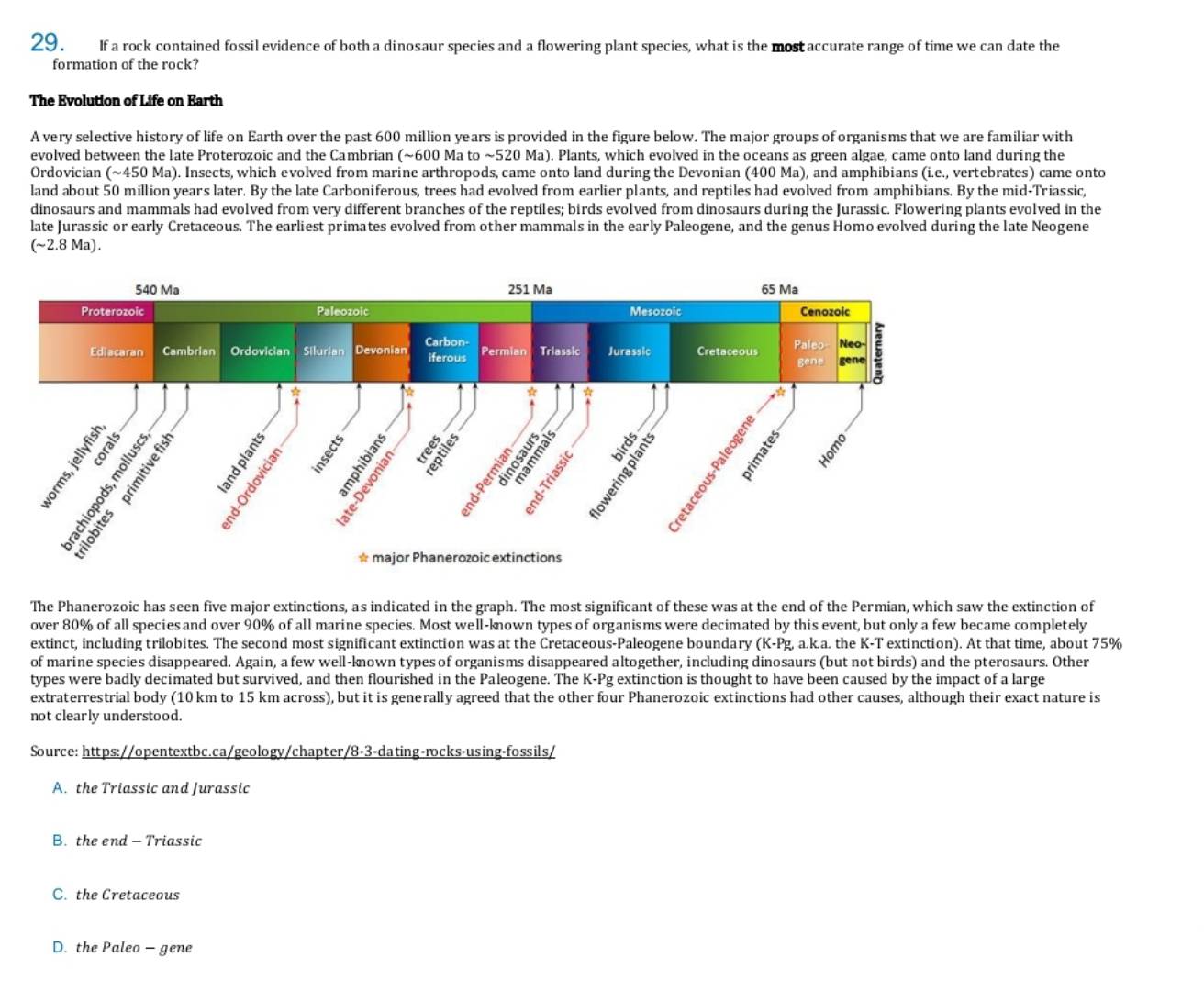 If a rock contained fossil evidence of both a dinosaur species and a flowering plant species, what is the most accurate range of time we can date the
formation of the rock?
The Evolution of Life on Earth
A very selective history of life on Earth over the past 600 million years is provided in the figure below. The major groups of organisms that we are familiar with
evolved between the late Proterozoic and the Cambrian (~600 Ma to ~520 Ma). Plants, which evolved in the oceans as green algae, came onto land during the
Ordovician (~450 Ma). Insects, which evolved from marine arthropods, came onto land during the Devonian (400 Ma), and amphibians (i.e., vertebrates) came onto
land about 50 million years later. By the late Carboniferous, trees had evolved from earlier plants, and reptiles had evolved from amphibians. By the mid-Triassic,
dinosaurs and mammals had evolved from very different branches of the reptiles; birds evolved from dinosaurs during the Jurassic. Flowering plants evolved in the
late Jurassic or early Cretaceous. The earliest primates evolved from other mammals in the early Paleogene, and the genus Homo evolved during the late Neogene
(~2.8 Ma).
The Phanerozoic has seen five major extinctions, as indicated in the graph. The most significant of these was at the end of the Permian, which saw the extinction of
over 80% of all species and over 90% of all marine species. Most well-known types of organisms were decimated by this event, but only a few became completely
extinct, including trilobites. The second most significant extinction was at the Cretaceous-Paleogene boundary (K-Pg, a.k.a. the K-T extinction). At that time, about 75%
of marine species disappeared. Again, a few well-known types of organisms disappeared altogether, including dinosaurs (but not birds) and the pterosaurs. Other
types were badly decimated but survived, and then flourished in the Paleogene. The K-Pg extinction is thought to have been caused by the impact of a large
extraterrestrial body (10 km to 15 km across), but it is generally agreed that the other four Phanerozoic extinctions had other causes, although their exact nature is
not clearly understood.
Source: https://opentextbc.ca/geology/chapter/8-3-dating-rocks-using-fossils/
A. the Triassic and Jurassic
B. the end - Triassic
C. the Cretaceous
D. the Paleo - gene
