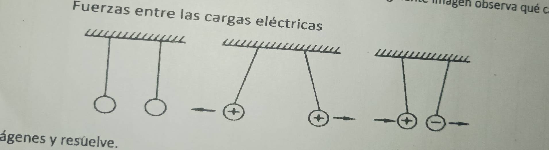 imagen observa qué c 
Fuerzas entre las cargas eléctricas 
+ 
4 
ágenes y resuelve.