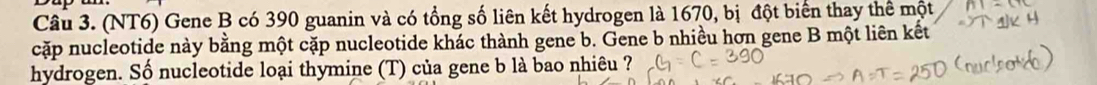 (NT6) Gene B có 390 guanin và có tổng số liên kết hydrogen là 1670, bị đột biển thay thể một 
cặp nucleotide này bằng một cặp nucleotide khác thành gene b. Gene b nhiều hơn gene B một liên kết 
hydrogen. Số nucleotide loại thymine (T) của gene b là bao nhiêu ?