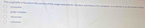 This organelle is found on the surface of the rough endoplasmic reticulum and freely in the cytoplasm. It is referred to as the protein factory
lysosome
golgi complex
ribosome
cellulose