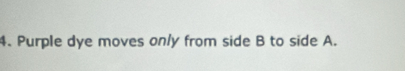 Purple dye moves only from side B to side A.