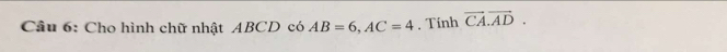 Cầu 6: Cho hình chữ nhật ABCD có AB=6, AC=4. Tinh vector CA.vector AD.