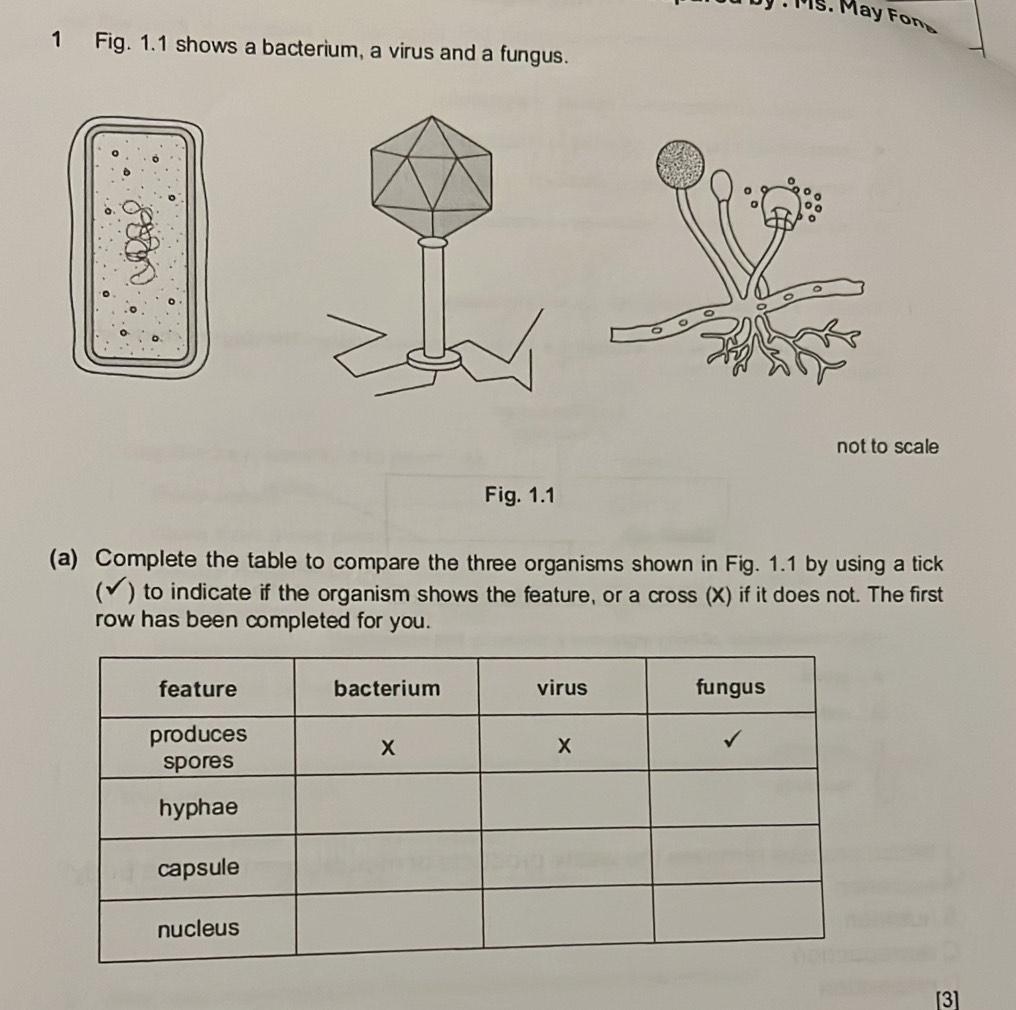 Ms. May Fon 
1 Fig. 1.1 shows a bacterium, a virus and a fungus. 
not to scale 
Fig. 1.1 
(a) Complete the table to compare the three organisms shown in Fig. 1.1 by using a tick 
(✔) to indicate if the organism shows the feature, or a cross (X) if it does not. The first 
row has been completed for you. 
[3]