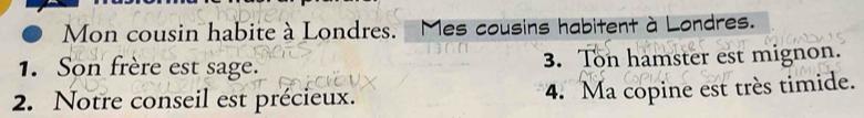 Mon cousin habite à Londres. Mes cousins habitent à Londres. 
1. Son frère est sage. 3. Ton hamster est mignon. 
2. Notre conseil est précieux. 4. Ma copine est très timide.