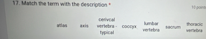 Match the term with the description *
10 points
cerivcal
lumbar thoracic
atias axis vertebra - coccyx vertebra sacrum vertebra
typical