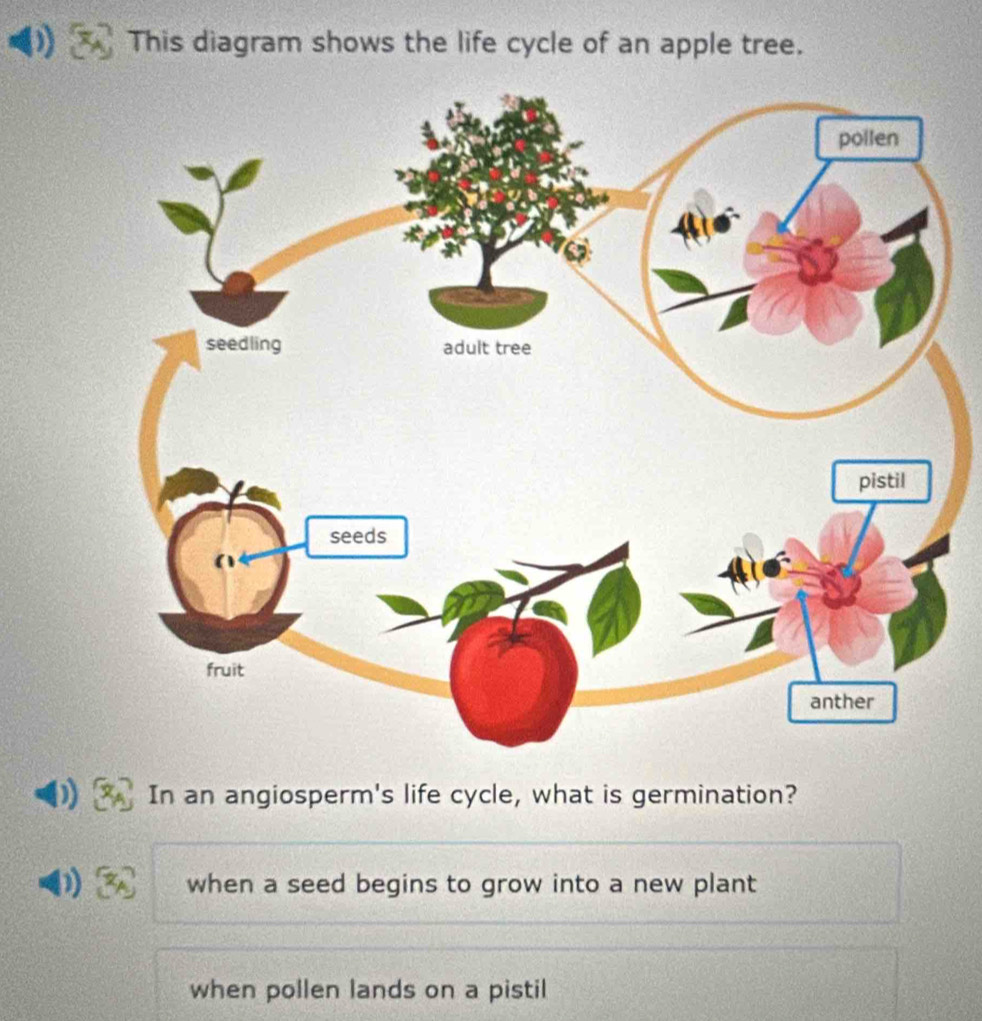 Solved: This diagram shows the life cycle of an apple tree. In an ...