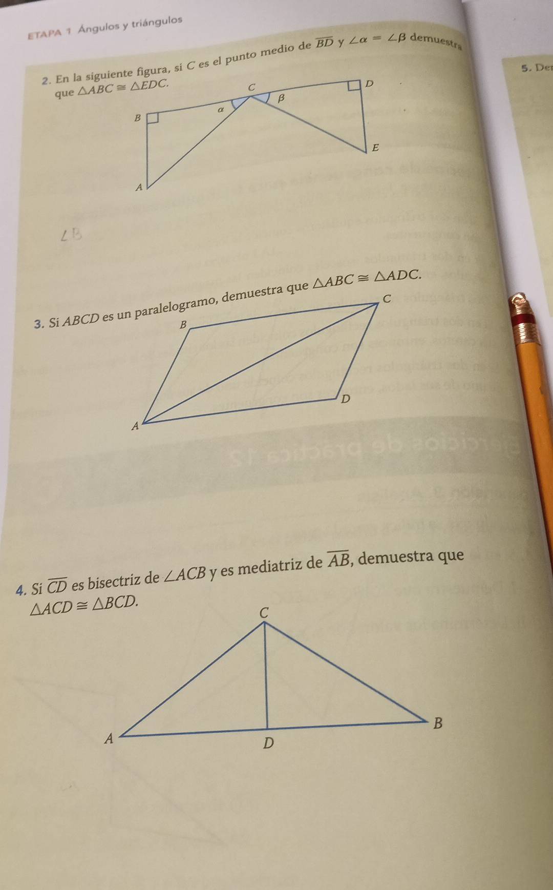 ETAPA 1 Ángulos y triángulos
2. En la siguiente figura, si C es el punto medio de overline BD y ∠ alpha =∠ beta demuestra
5. De
que
△ ABC≌ △ ADC.
4. Si overline CD es bisectriz de ∠ ACB y es mediatriz de overline AB , demuestra que