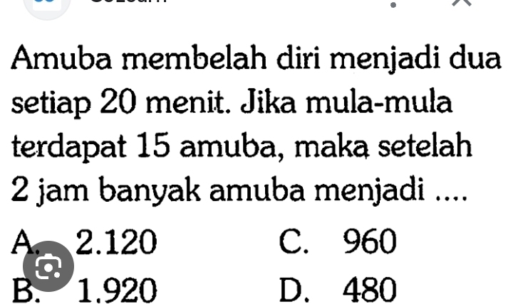 Amuba membelah diri menjadi dua
setiap 20 menit. Jika mula-mula
terdapat 15 amuba, maka setelah
2 jam banyak amuba menjadi ....
A. 2.120 C. 960
a
B. 1.920 D. 480