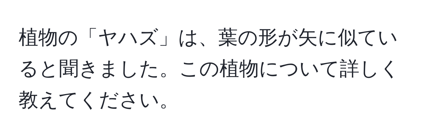 植物の「ヤハズ」は、葉の形が矢に似ていると聞きました。この植物について詳しく教えてください。