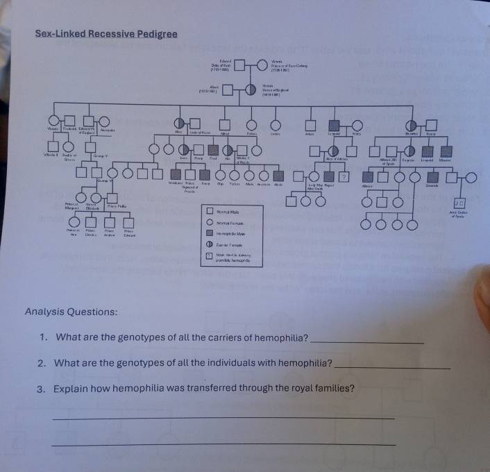 Sex-Linked Recessive Pedigree 
Analysis Questions: 
1. What are the genotypes of all the carriers of hemophilia?_ 
2. What are the genotypes of all the individuals with hemophilia?_ 
3. Explain how hemophilia was transferred through the royal families? 
_ 
_