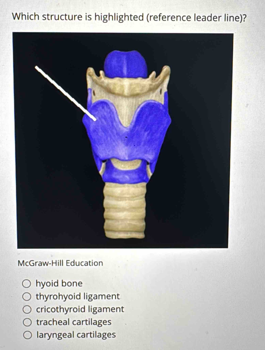 Which structure is highlighted (reference leader line)?
McGraw-Hill Education
hyoid bone
thyrohyoid ligament
cricothyroid ligament
tracheal cartilages
laryngeal cartilages