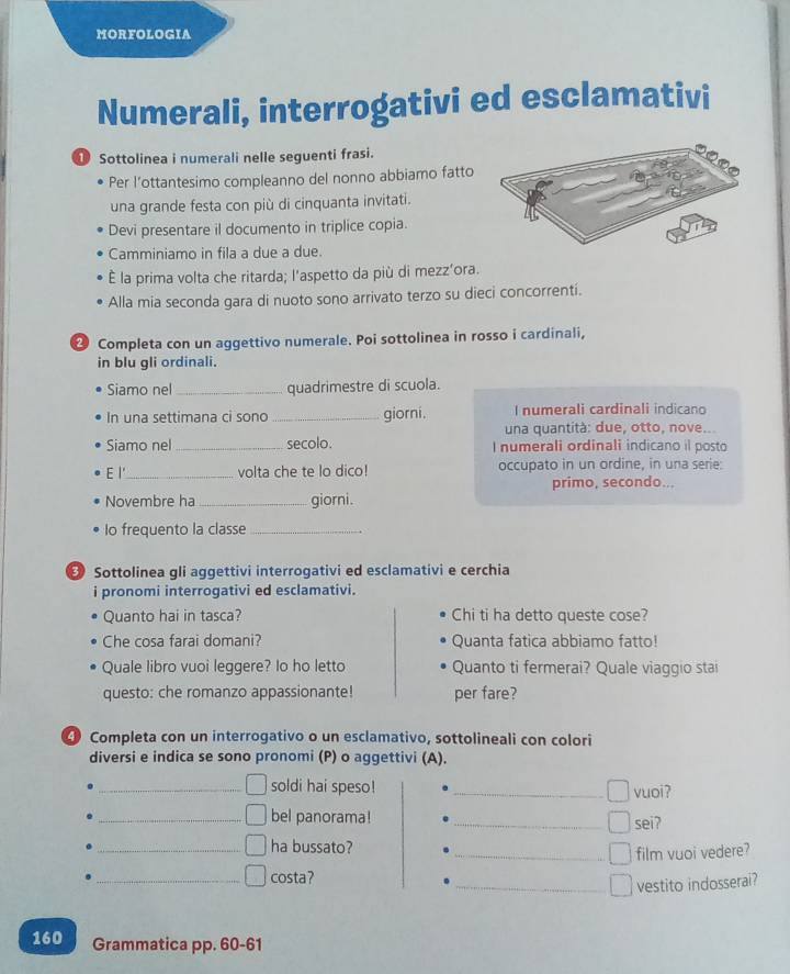 MORFOLOGIA
Numerali, interrogativi ed esclamativi
① Sottolinea i numerali nelle seguenti frasi.
Per l’ottantesimo compleanno del nonno abbiamo fatto
una grande festa con più di cinquanta invitati.
Devi presentare il documento in triplice copia.
Camminiamo in fila a due a due.
É la prima volta che ritarda; l’aspetto da più di mezz’ora.
Alla mia seconda gara di nuoto sono arrivato terzo su dieci concorrenti.
Completa con un aggettivo numerale. Poi sottolinea in rosso i cardinali,
in blu gli ordinali.
Siamo nel _quadrimestre di scuola.
In una settimana ci sono _giorni. I numerali cardinali indicano
una quantità: due, otto, nove..
Siamo nel _secolo. I numerali ordinali indicano il posto
E l'_ volta che te lo dico! occupato in un ordine, in una serie:
primo, secondo...
Novembre ha_ giorni.
Io frequento la classe_
Sottolinea gli aggettivi interrogativi ed esclamativi e cerchia
i pronomi interrogativi ed esclamativi.
Quanto hai in tasca? Chi ti ha detto queste cose?
Che cosa farai domani? Quanta fatica abbiamo fatto!
Quale libro vuoi leggere? Io ho letto Quanto ti fermerai? Quale viaggio stai
questo: che romanzo appassionante! per fare?
Completa con un interrogativo o un esclamativo, sottolineali con colori
diversi e indica se sono pronomi (P) o aggettivi (A).
_soldi hai speso! _vuoi?
_bel panorama! _sei?
_ha bussato?
_film vuoi vedere?
_costa?
_vestito indosserai?
160 Grammatica pp. 60-61