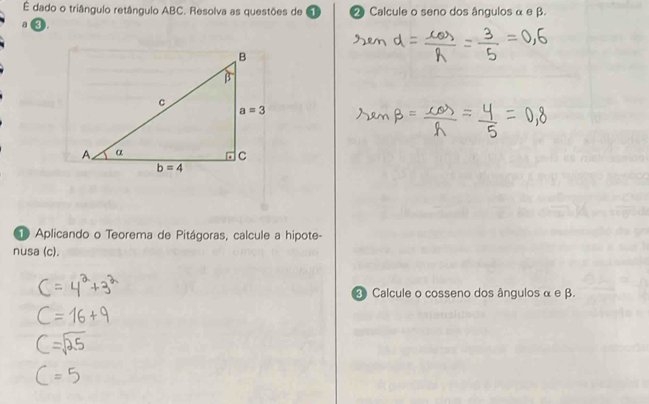 É dado o triângulo retângulo ABC. Resolva as questões de 1 2 Calcule o seno dos ângulos α e β.
a a
D Aplicando o Teorema de Pitágoras, calcule a hipote-
nusa (c).
④ Calcule o cosseno dos ângulos α e β.