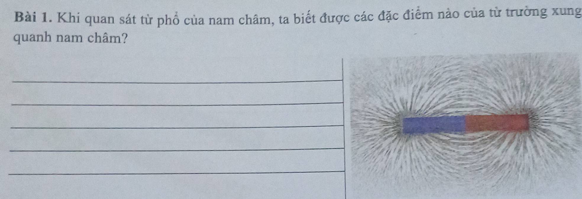 Khi quan sát từ phổ của nam châm, ta biết được các đặc điểm nào của từ trường xung 
quanh nam châm? 
_ 
_ 
_ 
_ 
_