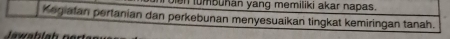 umbuhán yang memiliki akar napas. 
Kegiafan pertanian dan perkebunan menyesuaikan tingkat kemiringan tanah.