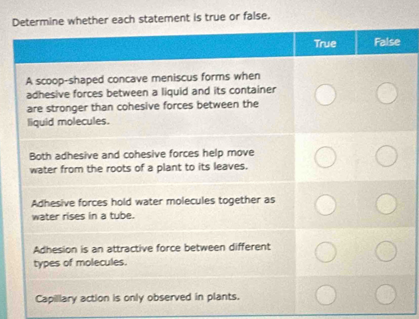 Dt is true or false.