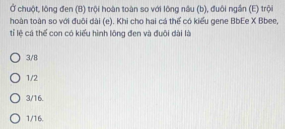 Ở chuột, lông đen (B) trội hoàn toàn so với lông nâu (b), đuôi ngắn (E) trội
hoàn toàn so với đuôi dài (e). Khi cho hai cá thể có kiểu gene BbEe X Bbee,
tỉ lệ cá thể con có kiểu hình lông đen và đuôi dài là
3/8
1/2
3/16.
1/16.