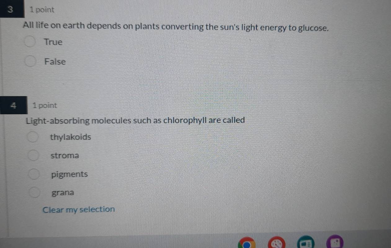 3 1 point
All life on earth depends on plants converting the sun's light energy to glucose.
True
False
4 1 point
Light-absorbing molecules such as chlorophyll are called
thylakoids
stroma
pigments
grana
Clear my selection