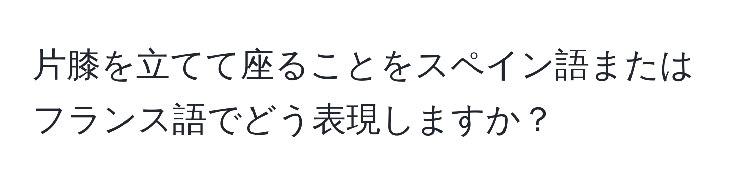 片膝を立てて座ることをスペイン語またはフランス語でどう表現しますか？